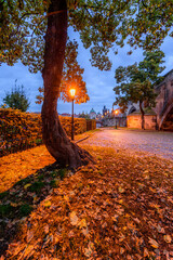 Wall Mural - An autumn morning at the Charles Bridge in the historic centre of Prague. 