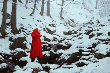 Wall Mural - Red hooded woman in a snowy forest