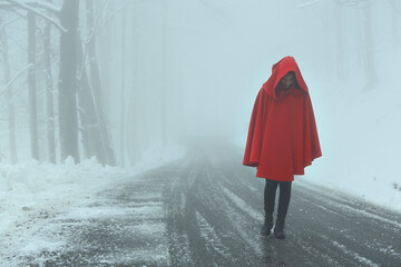 Wall Mural - Woman walking alone on snowy road