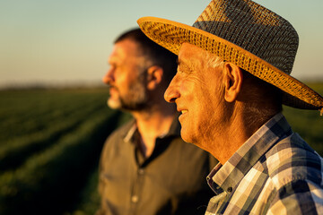 Two farmers in a field examining soy crop at sunset.