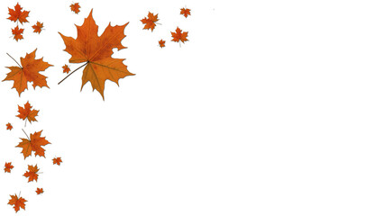 Poster - Autumn leaves on transparent background for cards, websites and decor - 3D Illustration