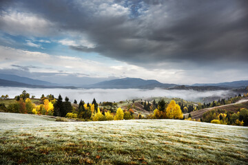 Wall Mural - Amazing scene on autumn mountains. Yellow and orange trees in fantastic morning fog. Carpathians, Europe. Landscape photography