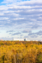 Wall Mural - yellow autumn forest and large urban house on horizon under blue sky with clouds on sunny day