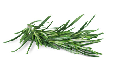 Fresh green sprig of rosemary isolated on a white background