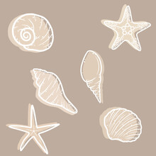 Different Ocean, Sea Shells Collection.