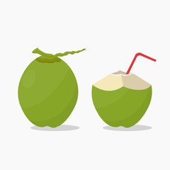 Green coconut whole and slice with straw vector illustration