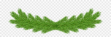 Vector Christmas Garland Png. Spruce Branches Png, Pine, Spruce. Christmas Decorations.