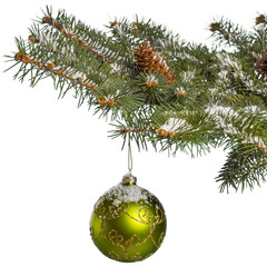 Wall Mural - ornament on a pine tree branch