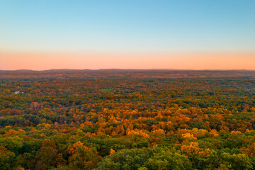 Wall Mural - A vast landscape of autumn trees