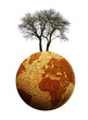 Parched planet earth isolated , PNG. Global warming or change climate concept. Environmental problems.