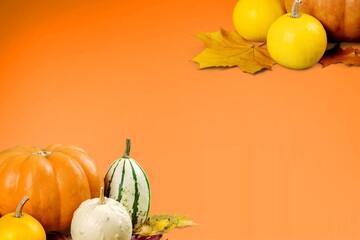 Sticker - Set of autumn fresh colored pumpkins and leaves