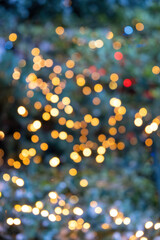 Christmas tree light bokeh background. Holiday blur decoration