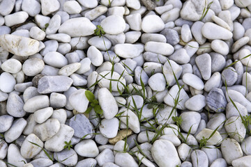 Wall Mural - Natural white stones