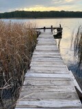 Fototapeta Desenie - drewniany pomost nad jeziorem