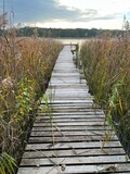 Fototapeta Pomosty - drewniany pomost nad jeziorem