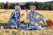 © pucko_ns - Senior couple make picnic on nature with blanket full of food, he drink vine while she holding red apple and talk to each other