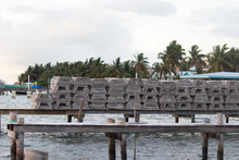Lots Of Lobster Cages 