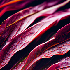 Canvas Print - red leaf background