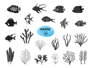 Seaweeds and fish silhouettes set. Vector collection of black and white sea fish and algae isolated on white background.
