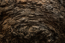Charred Texture Of Burned Sequoia Trunk