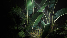 Tropical Leaves Illuminated With White Fluorescent Light. Exotic Environment With Diamond Shaped Neon Frame.