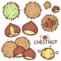 Wall Mural - chestnut cartoon drawing set