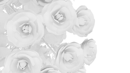 White rose with small white leaves under white background. Concept image of happy Invitation and reception sign. 3D high quality rendering. 3D illustration. High resolution. PNG file format.