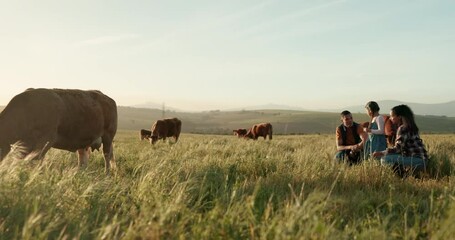 Wall Mural - Cattle, cow and farmer with family on a farm bonding, relaxing and enjoying quality time on countryside grass field. Nature, mother and father pointing to animals or cows with his girl, kid or child