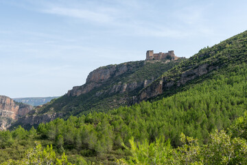 Wall Mural - Beautiful landscape photo with mountains and trees and on a mountain cut the Chirel castle in Cortes del Pallas, Valencian community, Spain