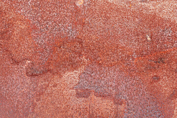 Wall Mural - rusty metal background