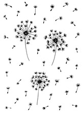 Hand Drawn Dandelions With Flying Fluffs Doodle