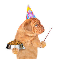 Poster - Mastiff puppy wearing party capo holding bowl of dry dog food and pointing away on empty space. isolated on white background
