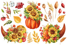 Watercolor Pumpkin, Sunflowers, Leaves. Thanksgiving Day. Autumn Illustration Isolate On White Background