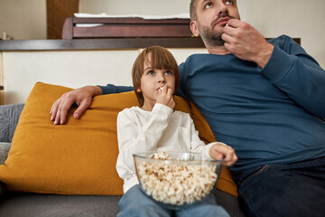 Wall Mural - Concentrated father and son watching TV or movie