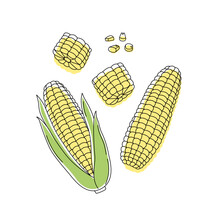 Doodle Outline Set Whole, Pieces And Grains Corn With Spot. Vector Hand-drawn Illustration For Packing Isolated On Transparent Background