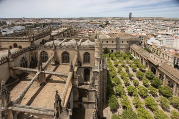 Arial shot of the cathedral Patio de los naranjos and the historical buildings of Seville, Spain