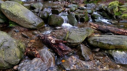 Wall Mural - A small stream flows through the rocks in the forest. The background of nature