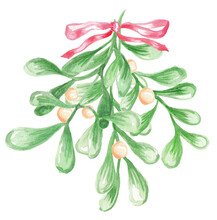 PNG Transparent Mistletoes With Berries Bouquet Tied With Red Ribbon Bow