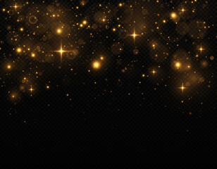 Sparkling magical dust particles. The dust sparks and golden stars shine with special light on a black background. Christmas concept.