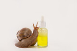 Fototapeta Tulipany - Snail Achatina. Natural organic cosmetics. Skin care cosmetics with Snail mucus