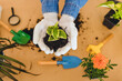 © Jelena Stanojkovic - Hands of senior woman holding and caring a young green plant. Seedlings are growing from abundant soil.Planting tree, reduce global warming, love nature concept.