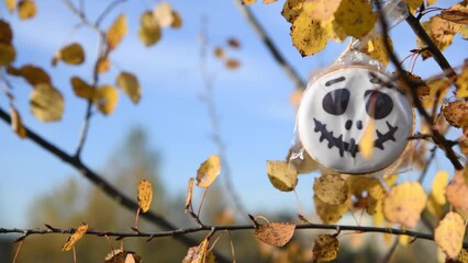 Wall Mural - Close-up view of white smiling skull head shaped round Halloween cookie hanging on autumn birch branch  with yellow leaves in a sunny day. Holiday food theme. Real time video.