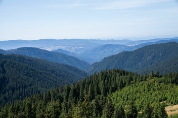 Wall Mural - Stunning view of layered mountain ranges covered with dense pine forests under blue sky on sunny day