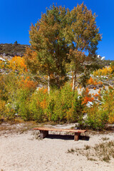 Poster - Bench by the lake