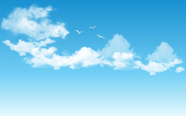 realistic blue sky with flying birds