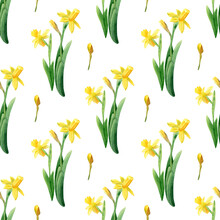 Seamless Narcissus Flowers Pattern. Watercolor Floral Background With Yellow Daffodils And Green Leaves For Textile, Wallpapers