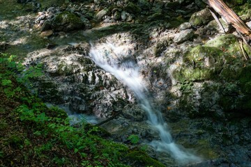 Poster - Small cascade flowing through the rocks in the green forest on sunny day, wild nature