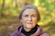 © Вадим Каштанов - Close-up portrait of gray-haired elderly lady in her eighties. Looks into camera. Against background of park.
