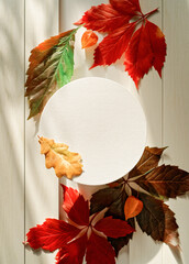 Wall Mural - A round paper frame is above yellow, red, green fallen leaves and physalis flowers on a white wooden background. Autumn, fall, thanksgiving day concept. Flat lay. Top view. Copy space.