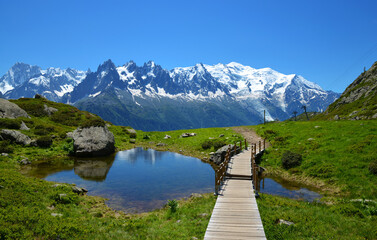 Poster - Idyllic landscape with Mont Blanc mountain range in sunny day. Nature Reserve Aiguilles Rouges, French Alps, France, Europe.